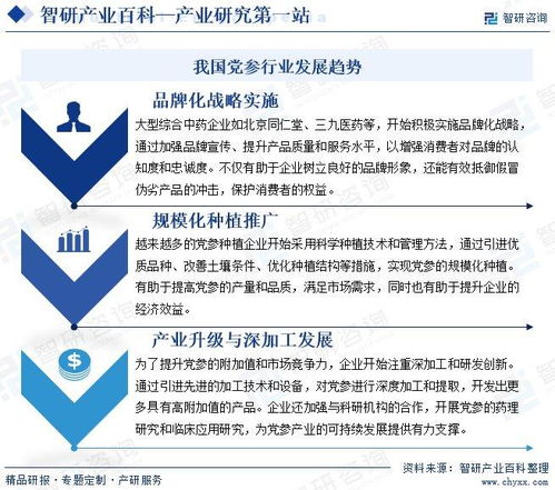 黨參行業(yè)分析報告 市場規(guī)模、供需態(tài)勢、競爭格局及投融資動態(tài)解析